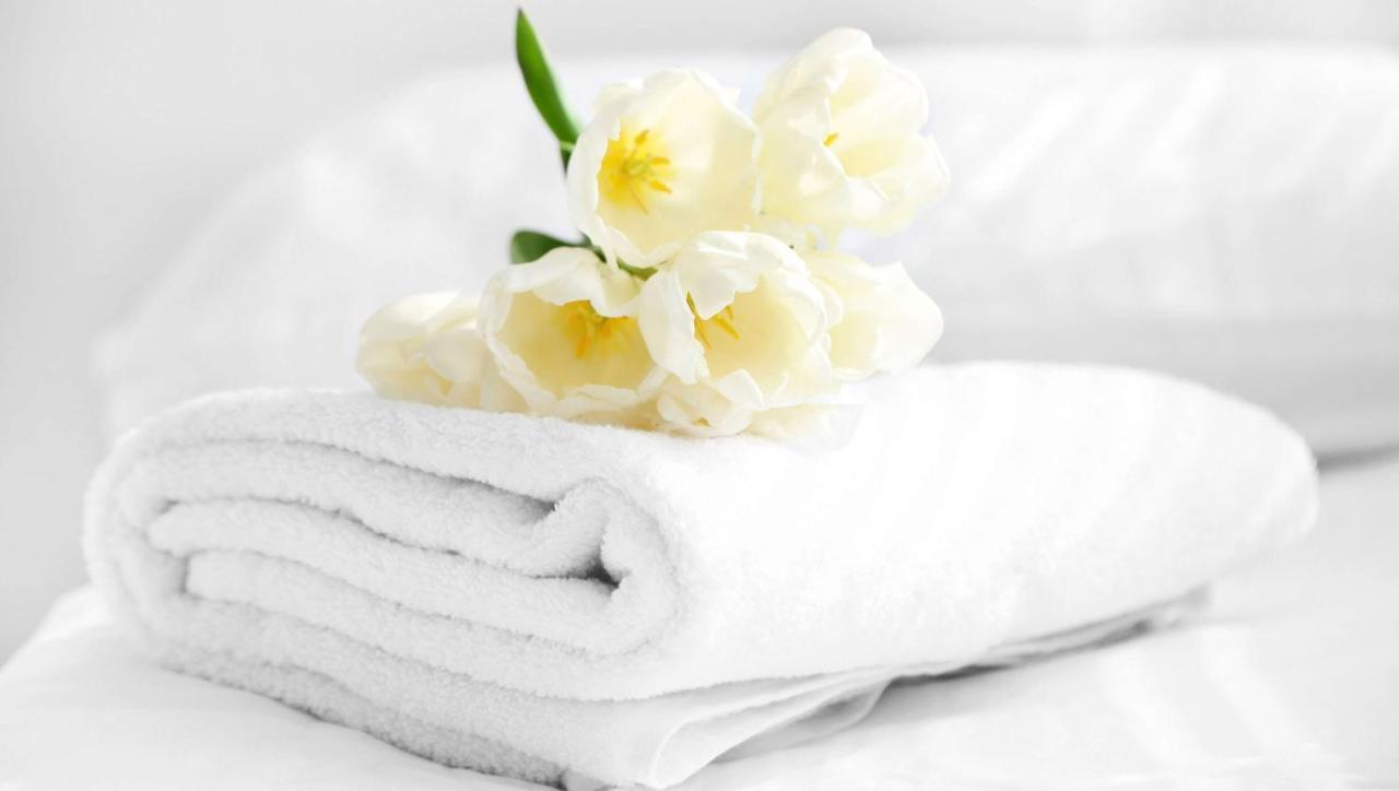 American Inn & Suites Childress Bagian luar foto